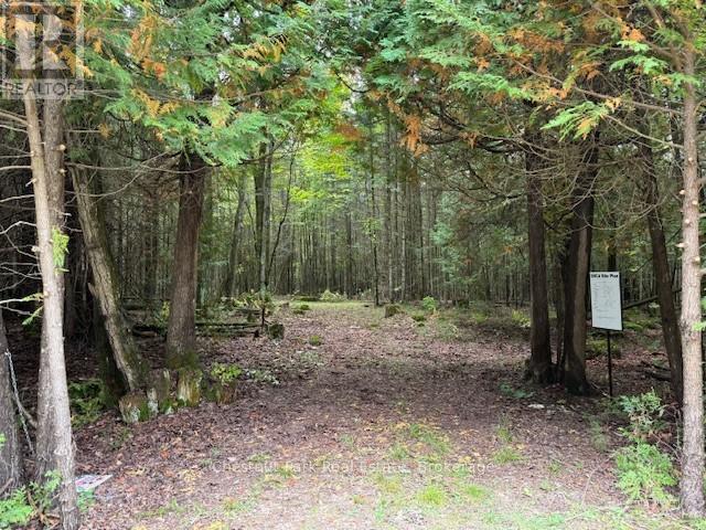 596244 CONCESSION 10