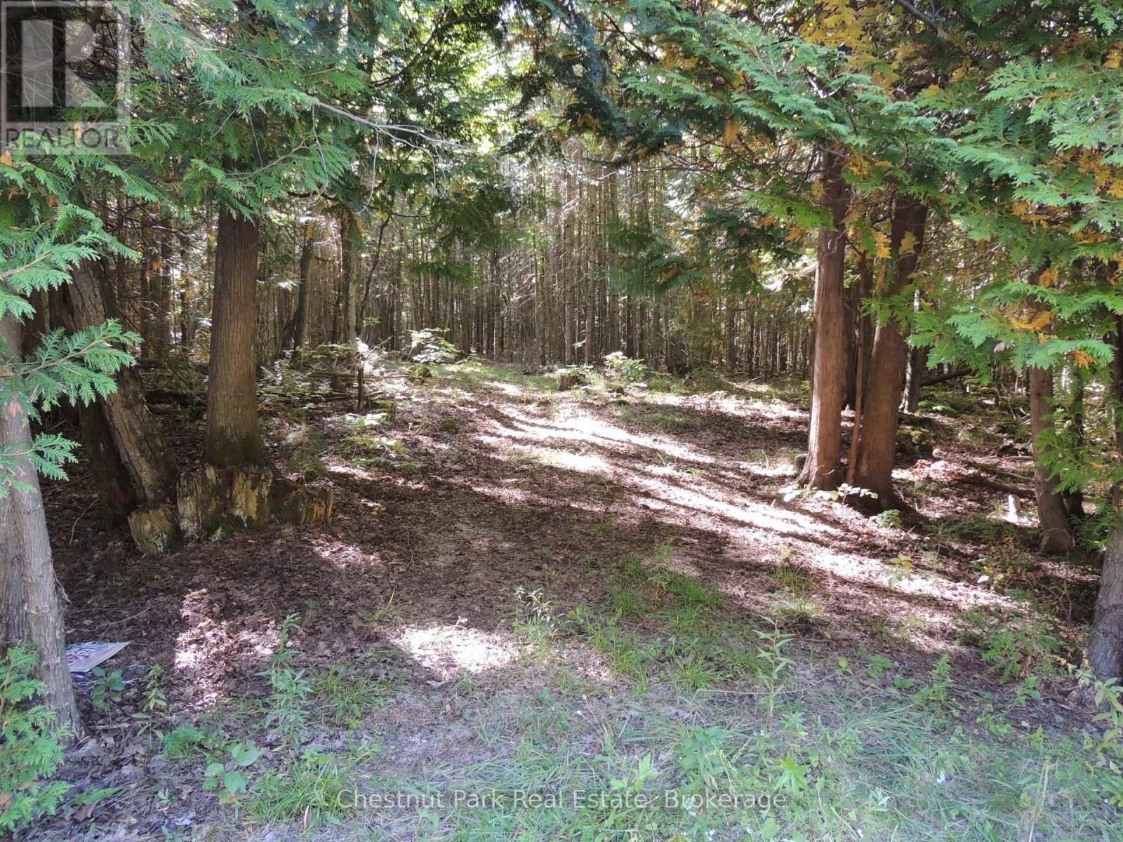 596244 CONCESSION 10