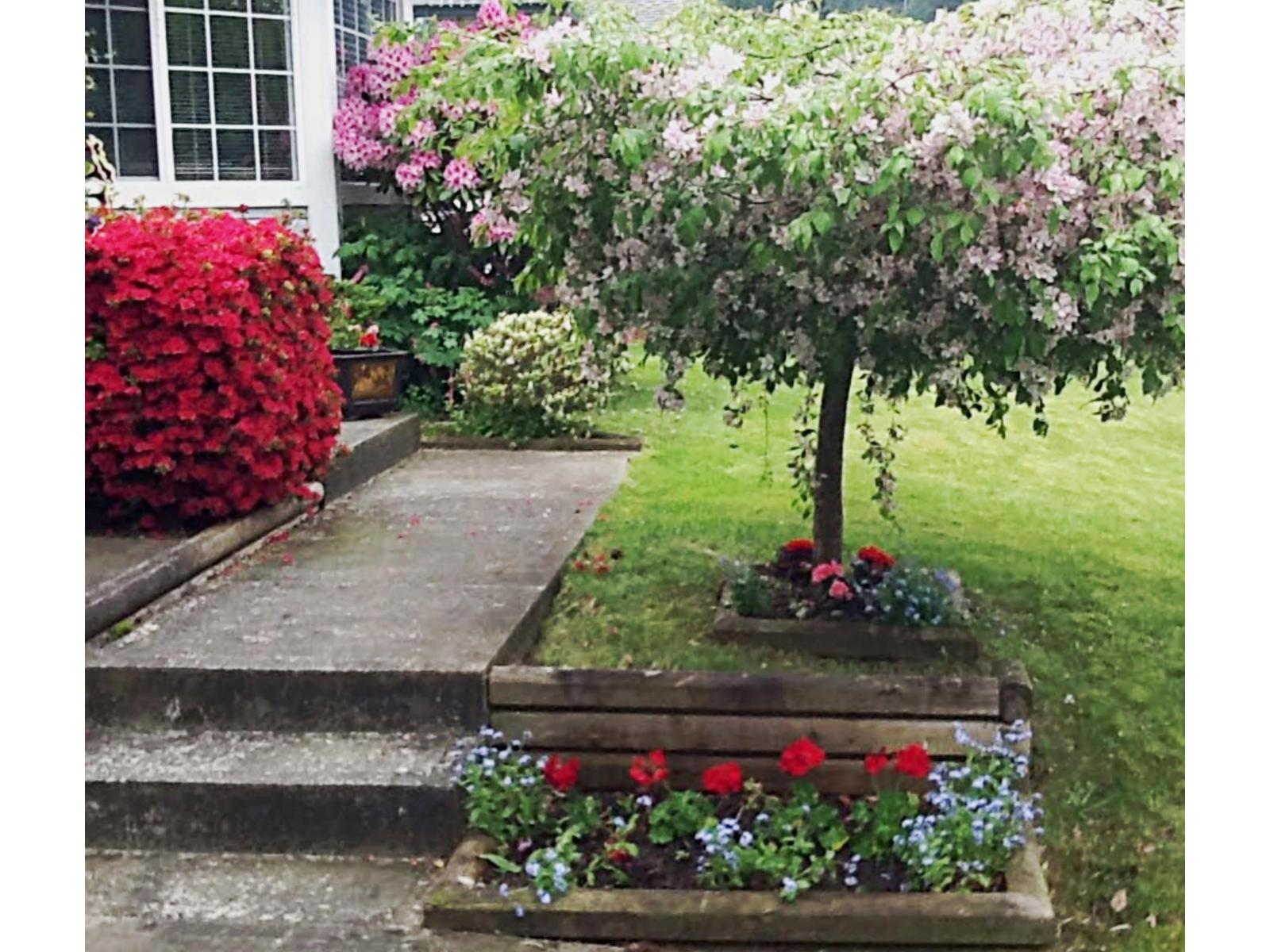 356 CHESTNUT AVENUE|Harrison Hot Springs