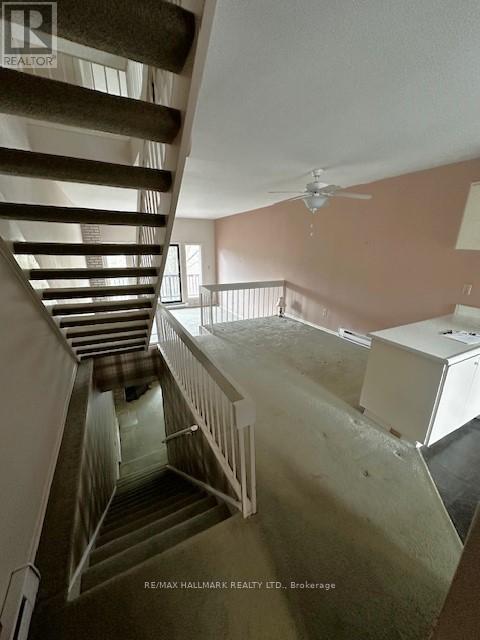 5 BOWMORE ROAD