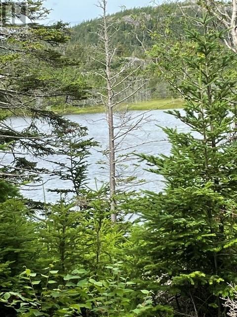 35 Conception Bay Highway