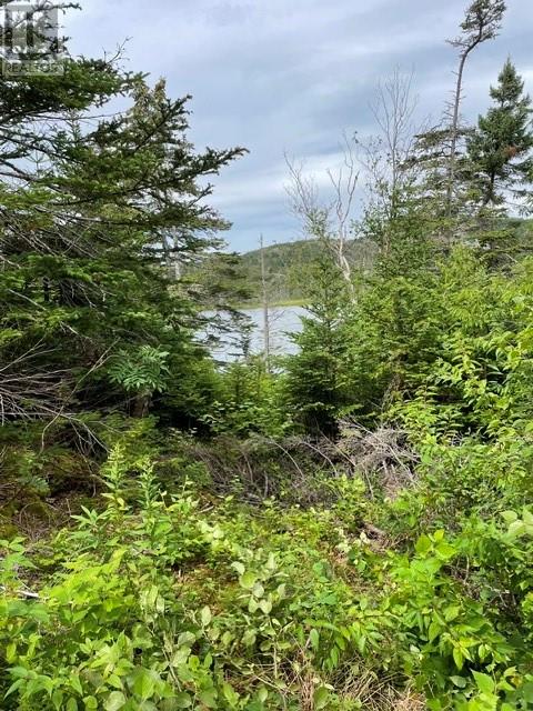 35 Conception Bay Highway