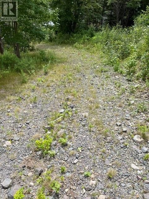 35 Conception Bay Highway