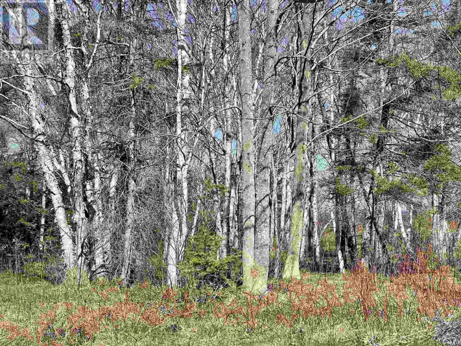 Lot 18 Millbrook Rise