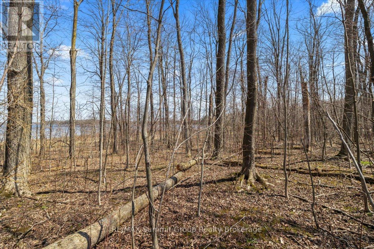 247 CANROBERT STREET