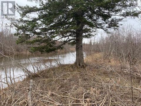 Barren Road River Denys NS B0E2Y0