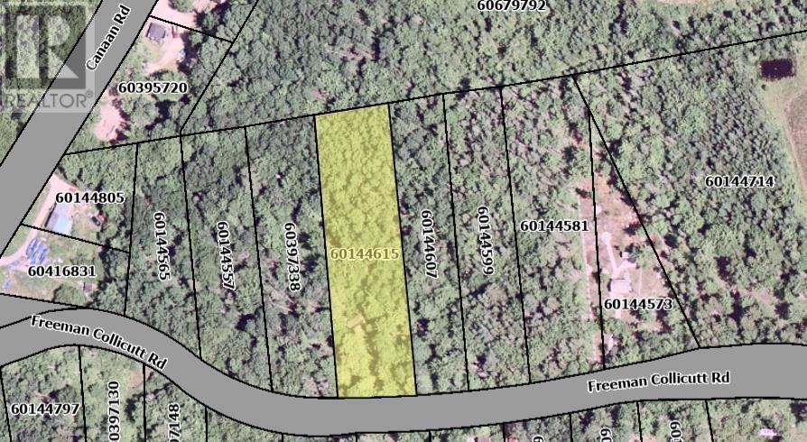Photo 1 of 4 — 41 Freeman Collicutt Road, Canaan, NS B0J1J0