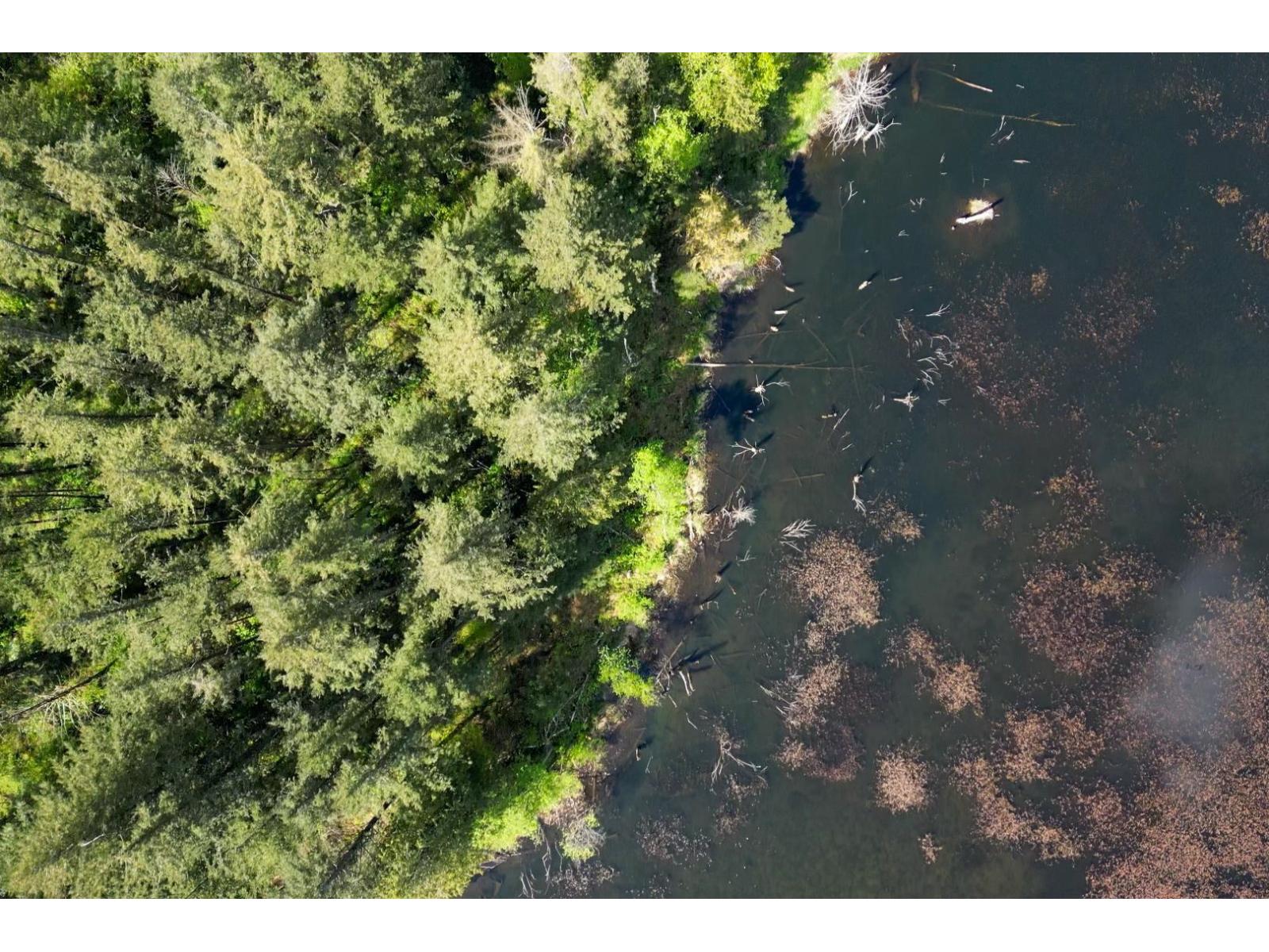 1724 LOUGHEED HIGHWAY|Mt Woodside