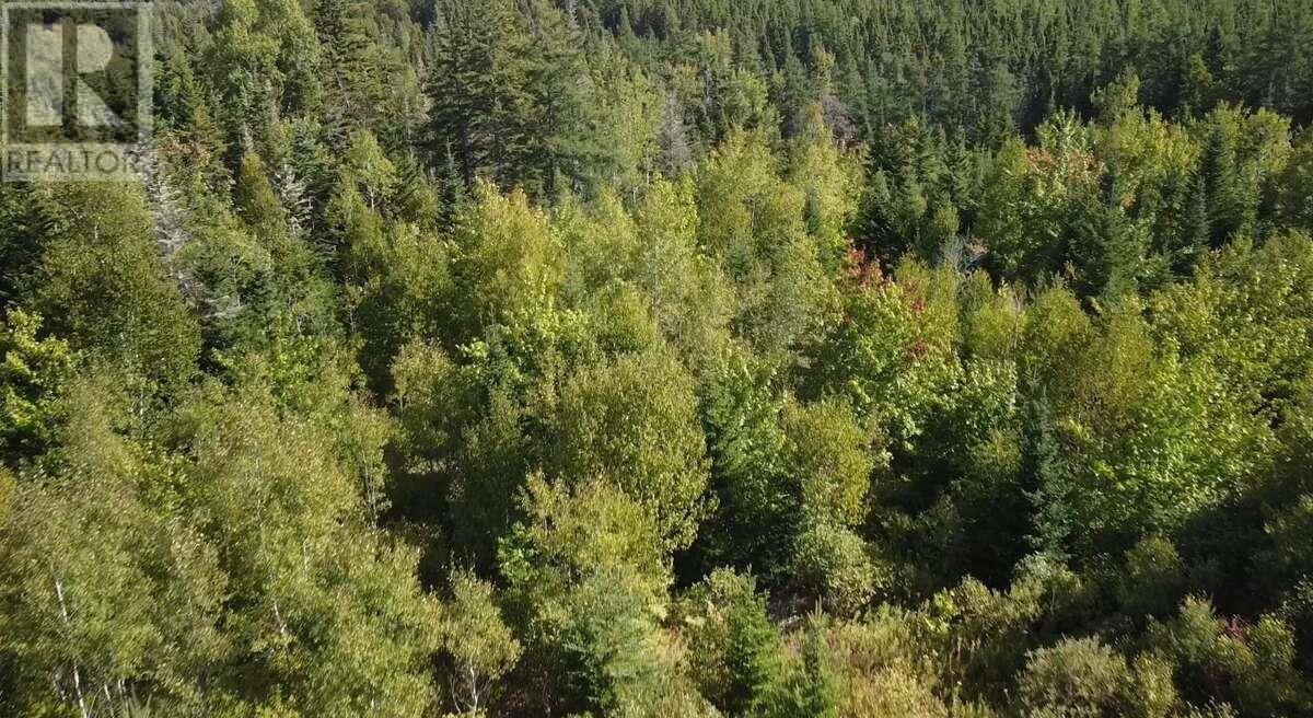 PID 50023084 Mull River Road