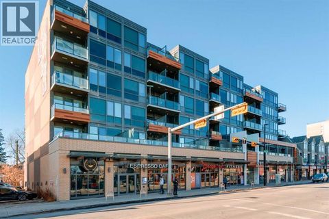 307, 301 10 Street NW Calgary AB T2N1V8