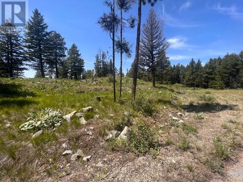 125 SASQUATCH Trail Osoyoos BC V0H1V6