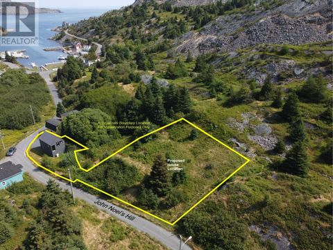 15-19 John Noels Hill Brigus NF A0A1K0