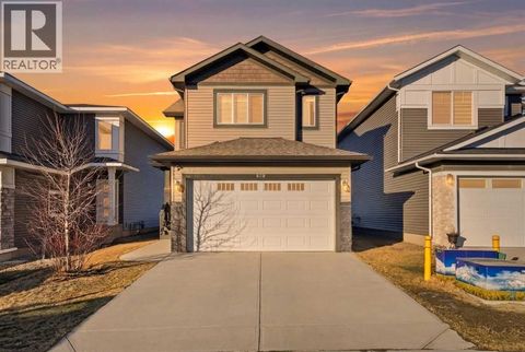 848 Lakewood Circle Strathmore AB T1P1Z6