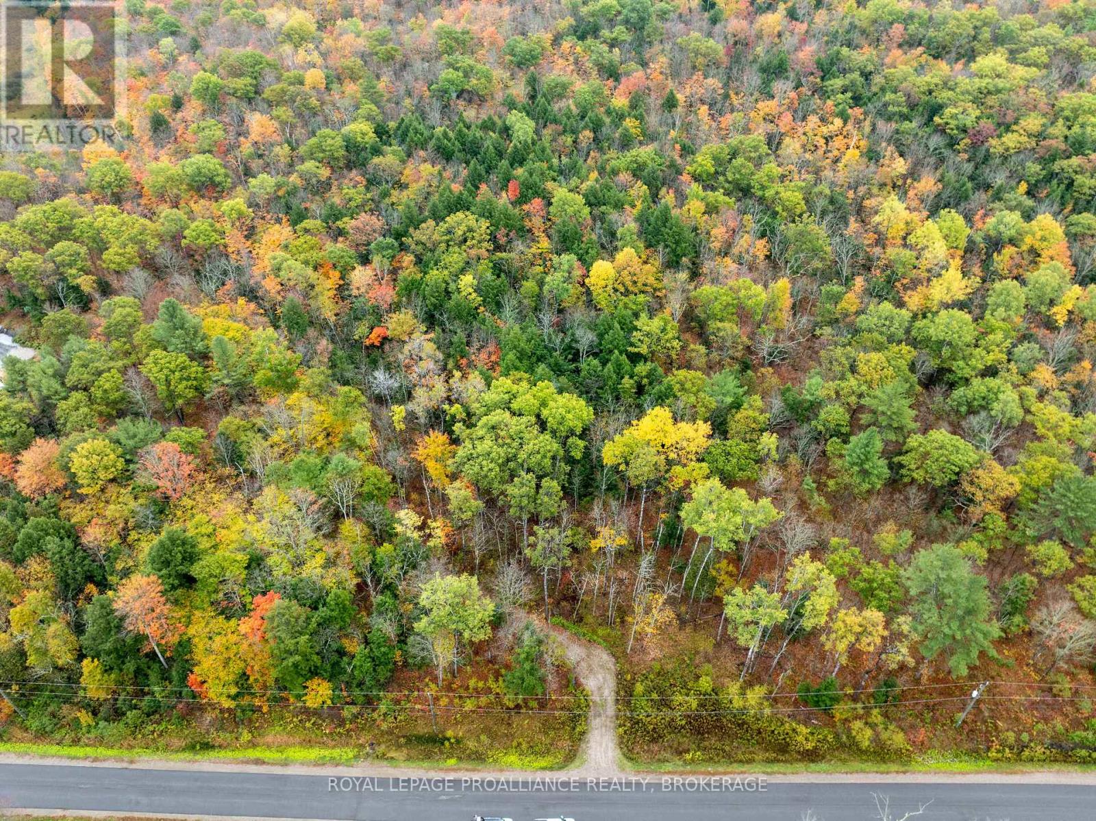 1060 NORDIC ROAD