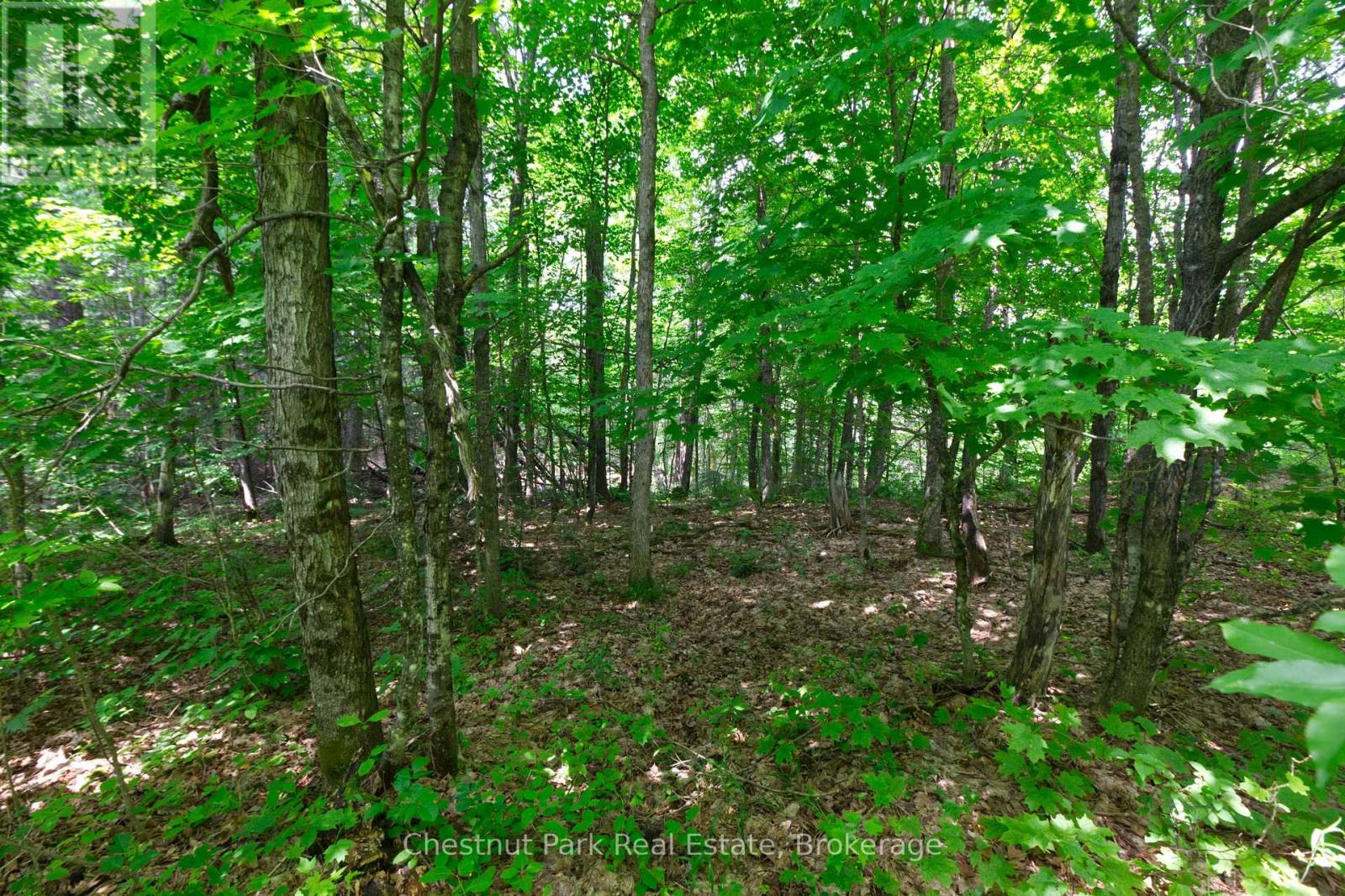 LOT 78 141 HIGHWAY