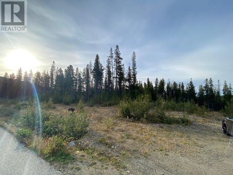 19 Buck Road Oliver BC V0H1T0