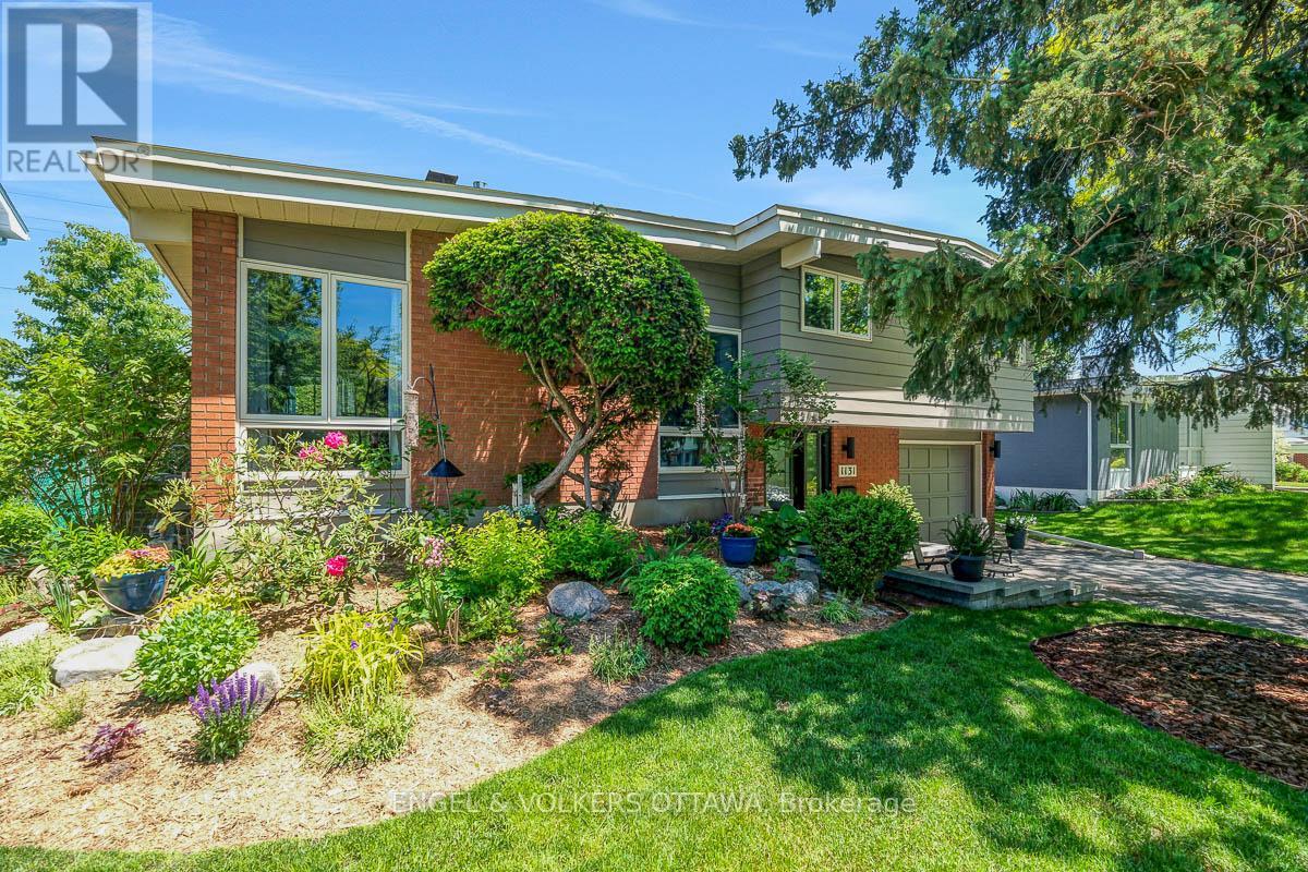 1131 CAMEO DRIVE