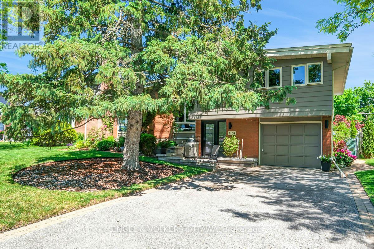 1131 CAMEO DRIVE
