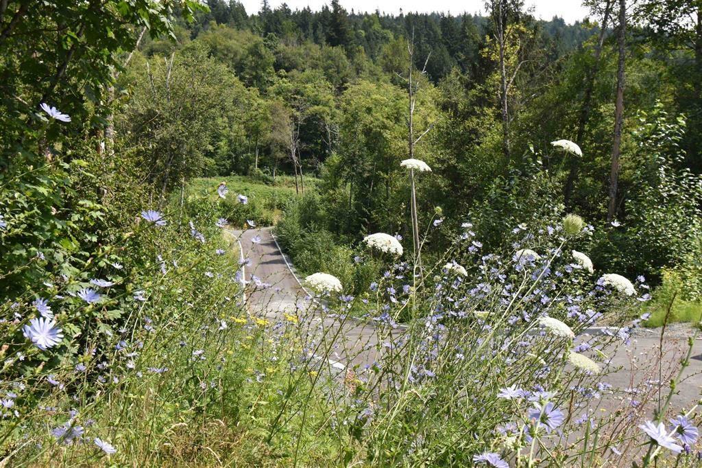 48875 ELK VIEW ROAD|Ryder Lake
