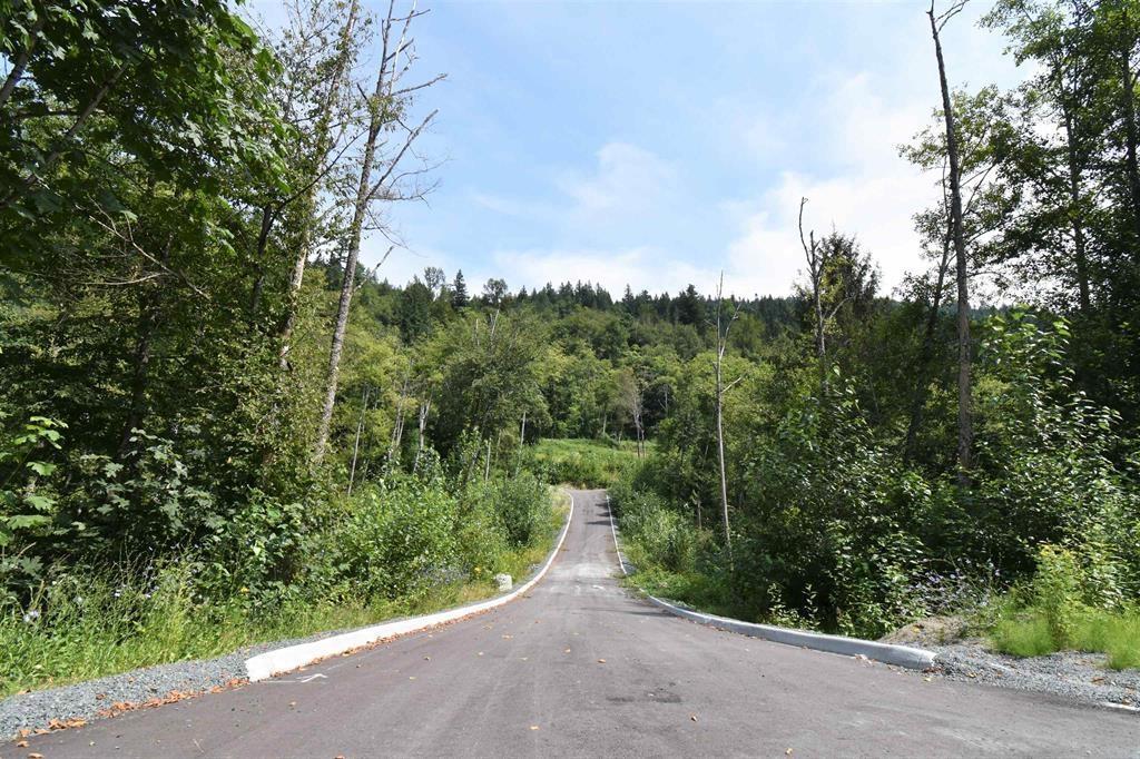 48875 ELK VIEW ROAD|Ryder Lake