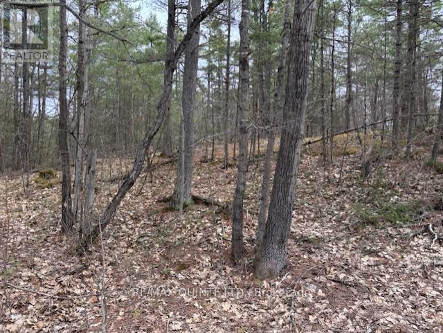 325 BRIDGEWATER ROAD