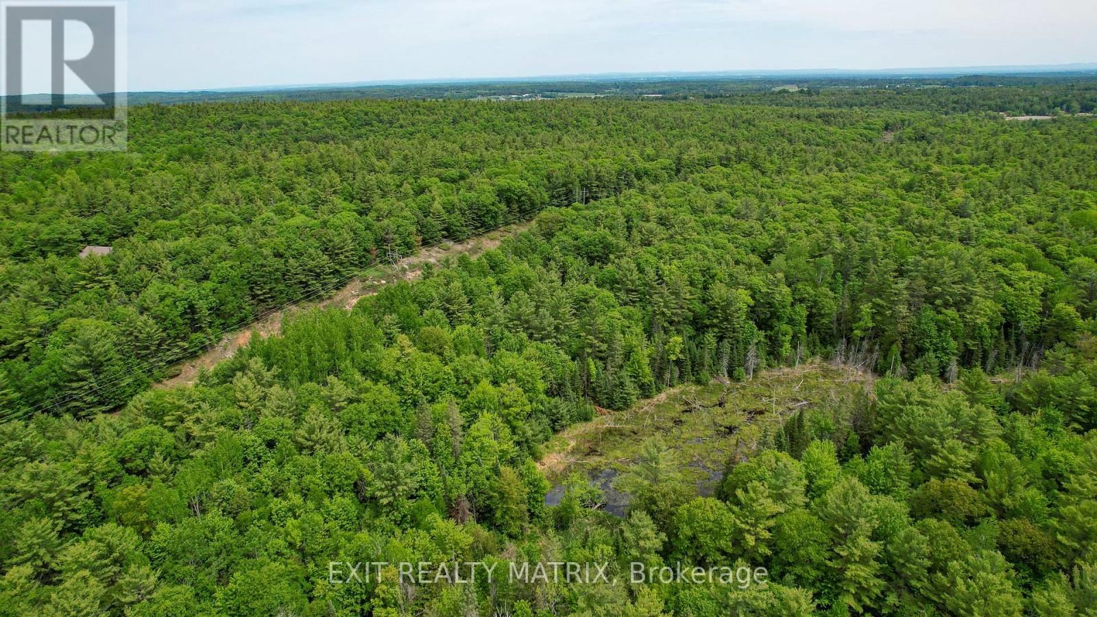 PT LT 9 CONCESSION 1 CONCESSION - Photo 4