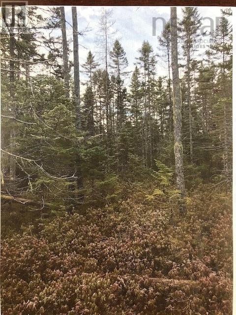 lot #3 Cloverdale Road