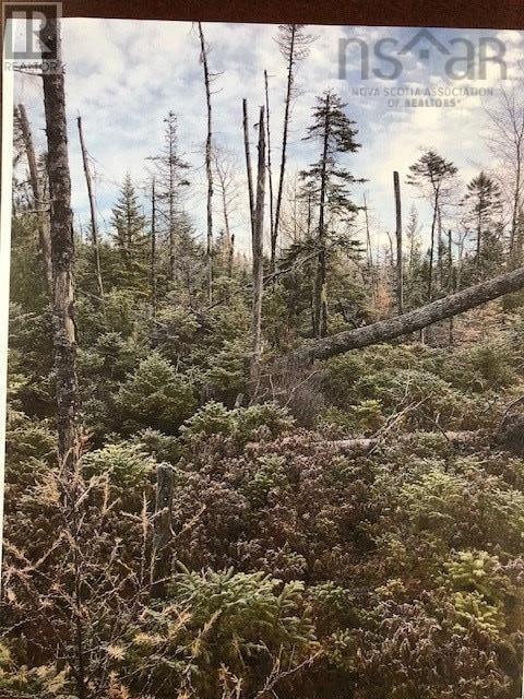 lot #3 Cloverdale Road