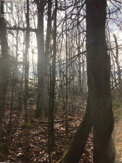 lot #3 Cloverdale Road