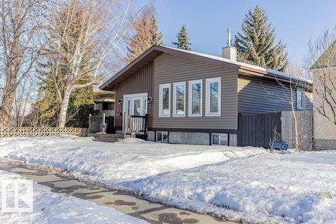 12253 95A ST NW Edmonton AB T5G1S2