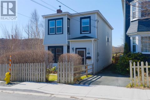 69 Alexander Street St. John's NF A1E2T8