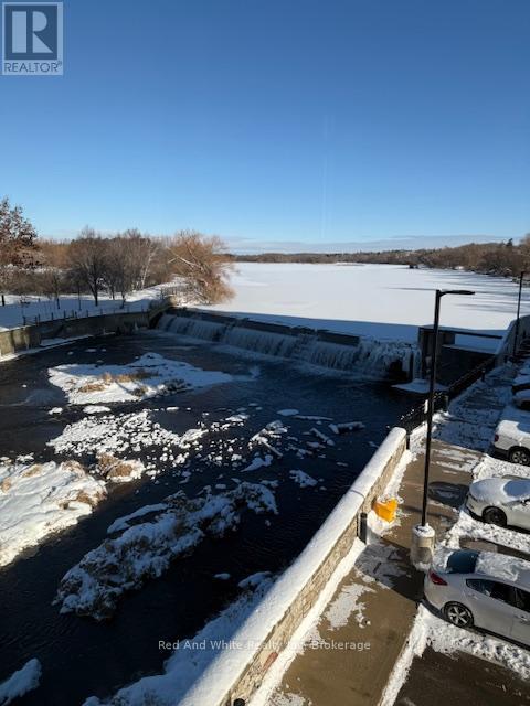 308 - 19 GUELPH AVENUE