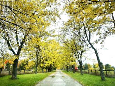 13682 WARDEN AVENUE Whitchurch-Stouffville ON L4A7X5