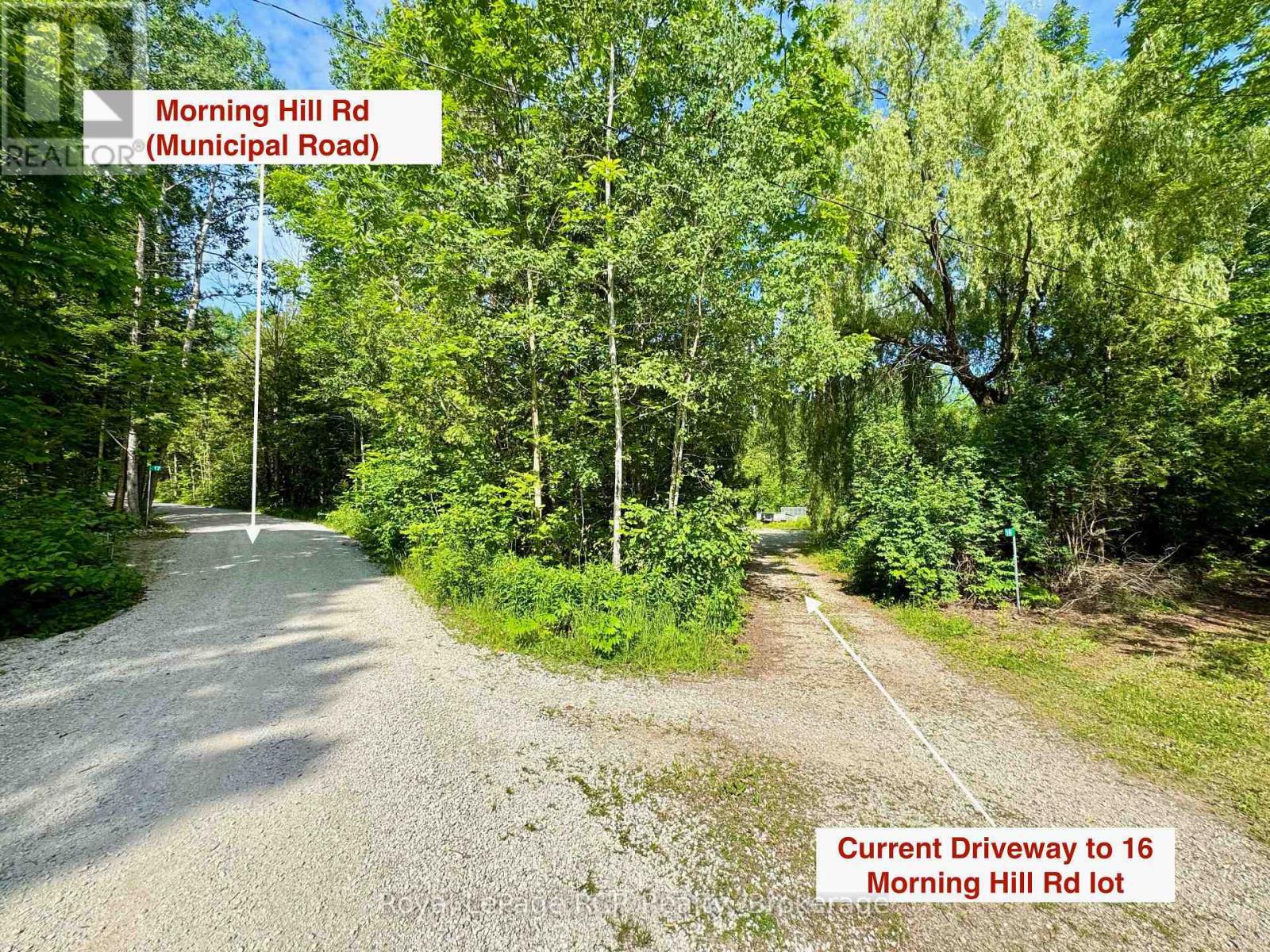 16 MORNING HILL ROAD