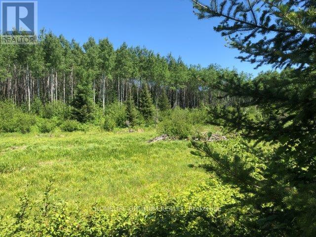 Photo 1 of 11 — 38.24 ACRES IN OGDEN TOWNSHIP - PCL 24640, Timmins (TM - Outside West), ON P4N7C2