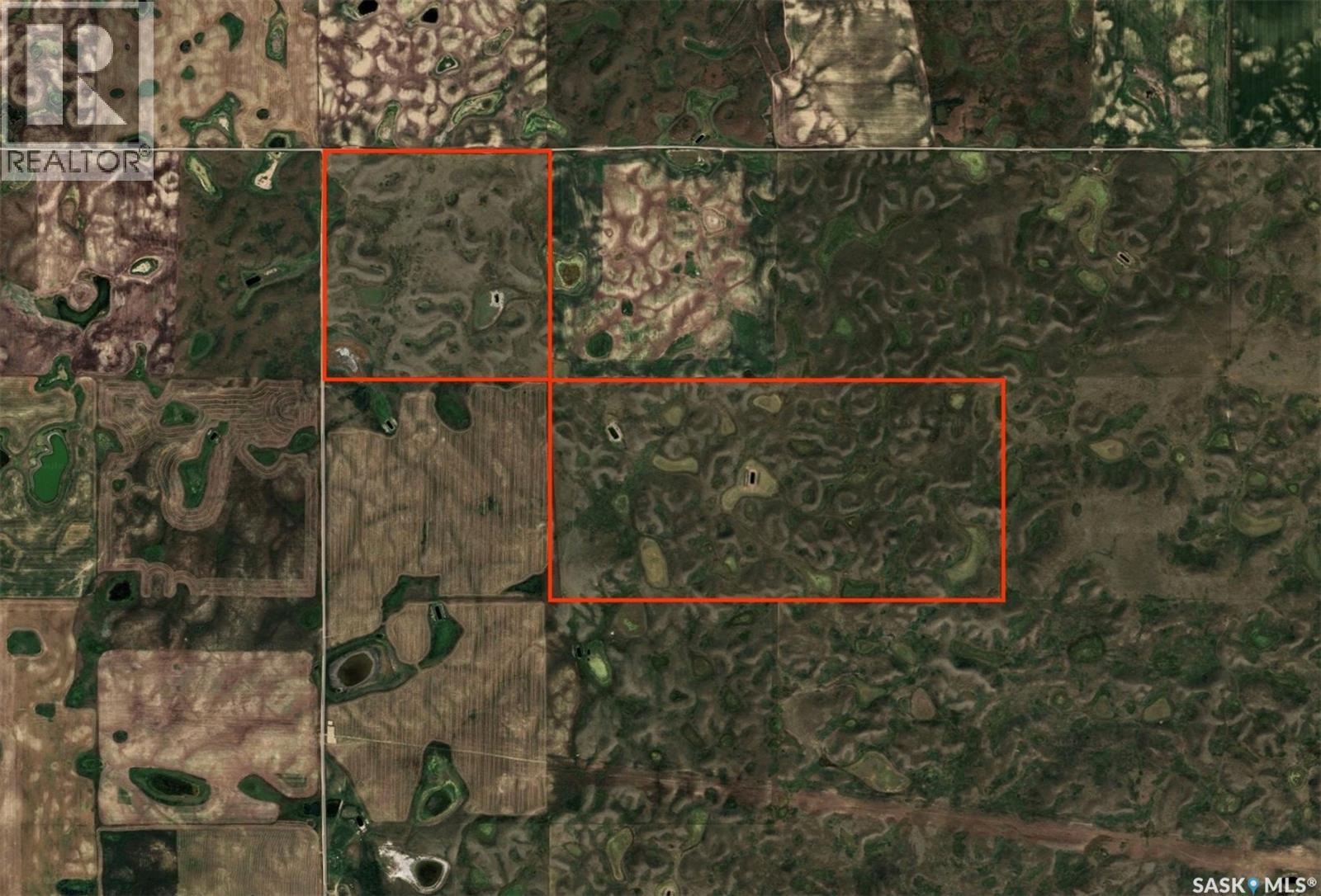 Chaplin 3 quarters grass