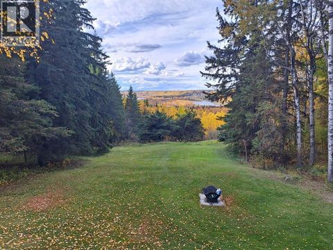 49308,  RR 65 Rural Brazeau County AB T7A1A0