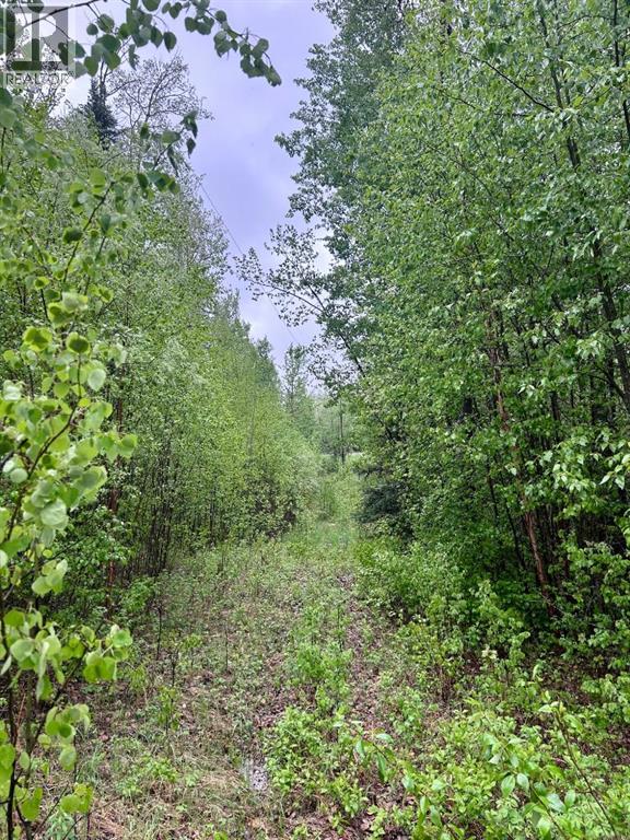 122, 67458 McGrane Rd