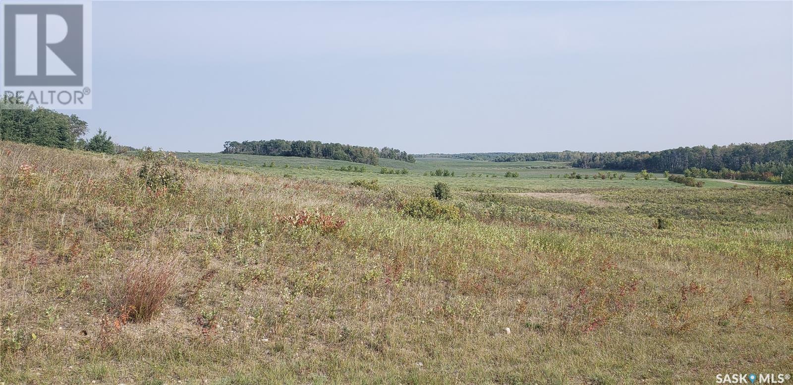 4 WHITETAIL TRAIL