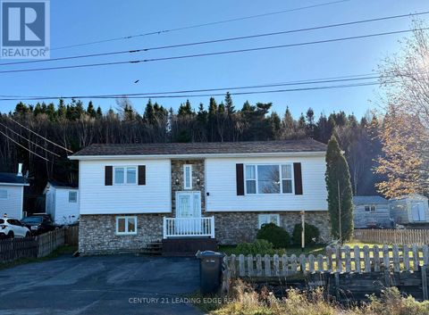 50 PARKWOOD DRIVE Hare Bay ON A0G2P0