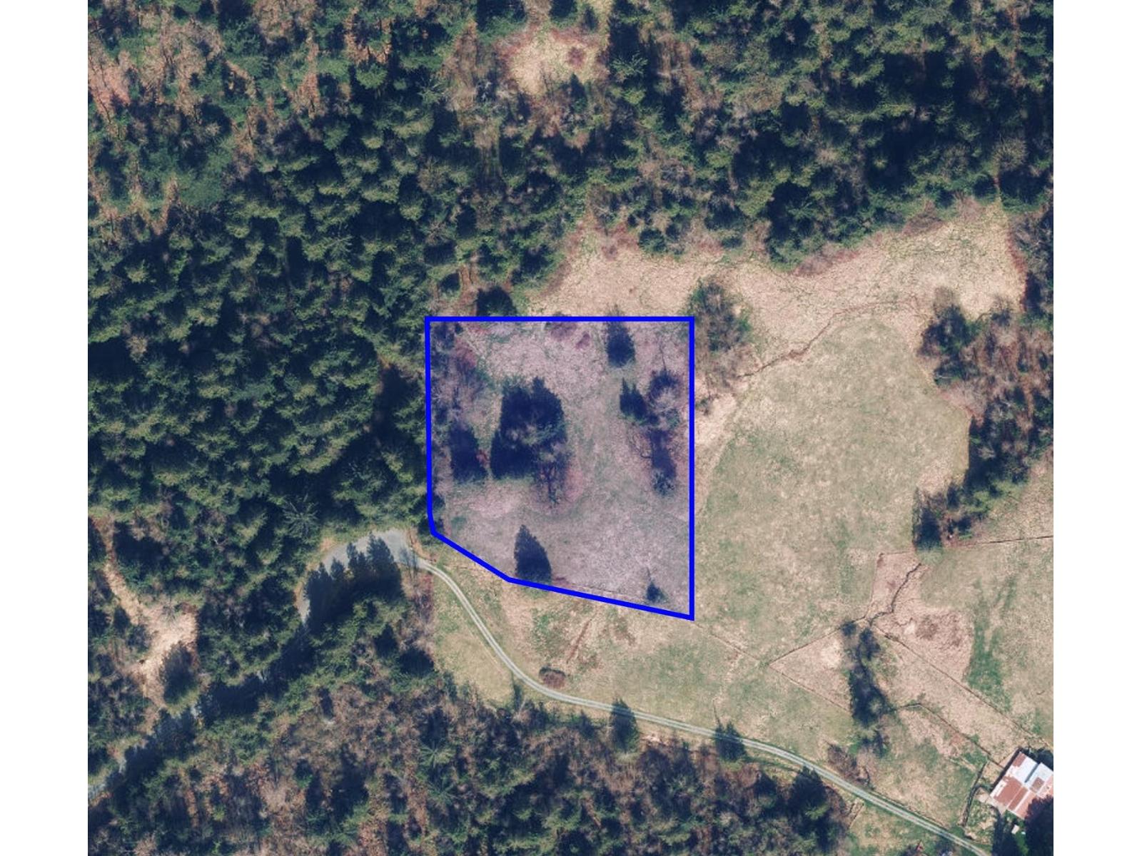 52300 ALLAN ROAD|Eastern Hillsides