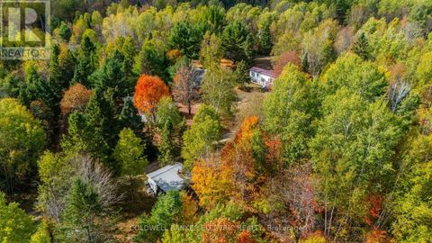 1304 LOWER MONMOUTH LAKE ROAD Highlands East (Monmouth) ON K0L2Y0