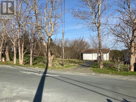 106 North Pond Road Torbay NF A1K1B2