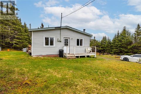 115 Deer Park Road Salmonier NF A0A2R0