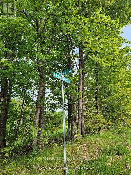 5355 HINCHINBROOKE ROAD