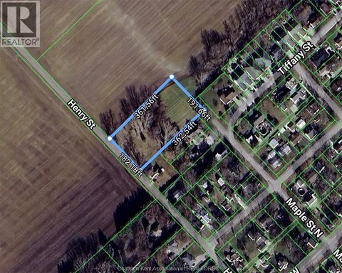 19 Henry STREET North Ridgetown ON N0P2C0