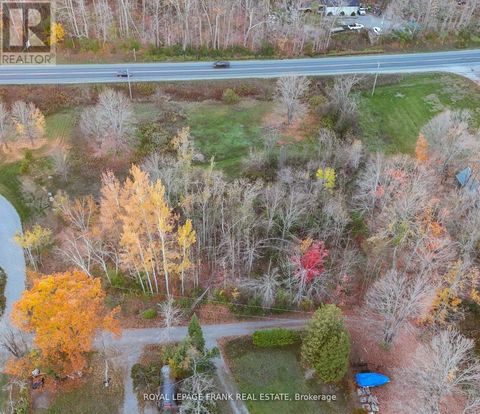 PT LT 20 FIRE ROUTE 121 Trent Lakes ON K0M1A0