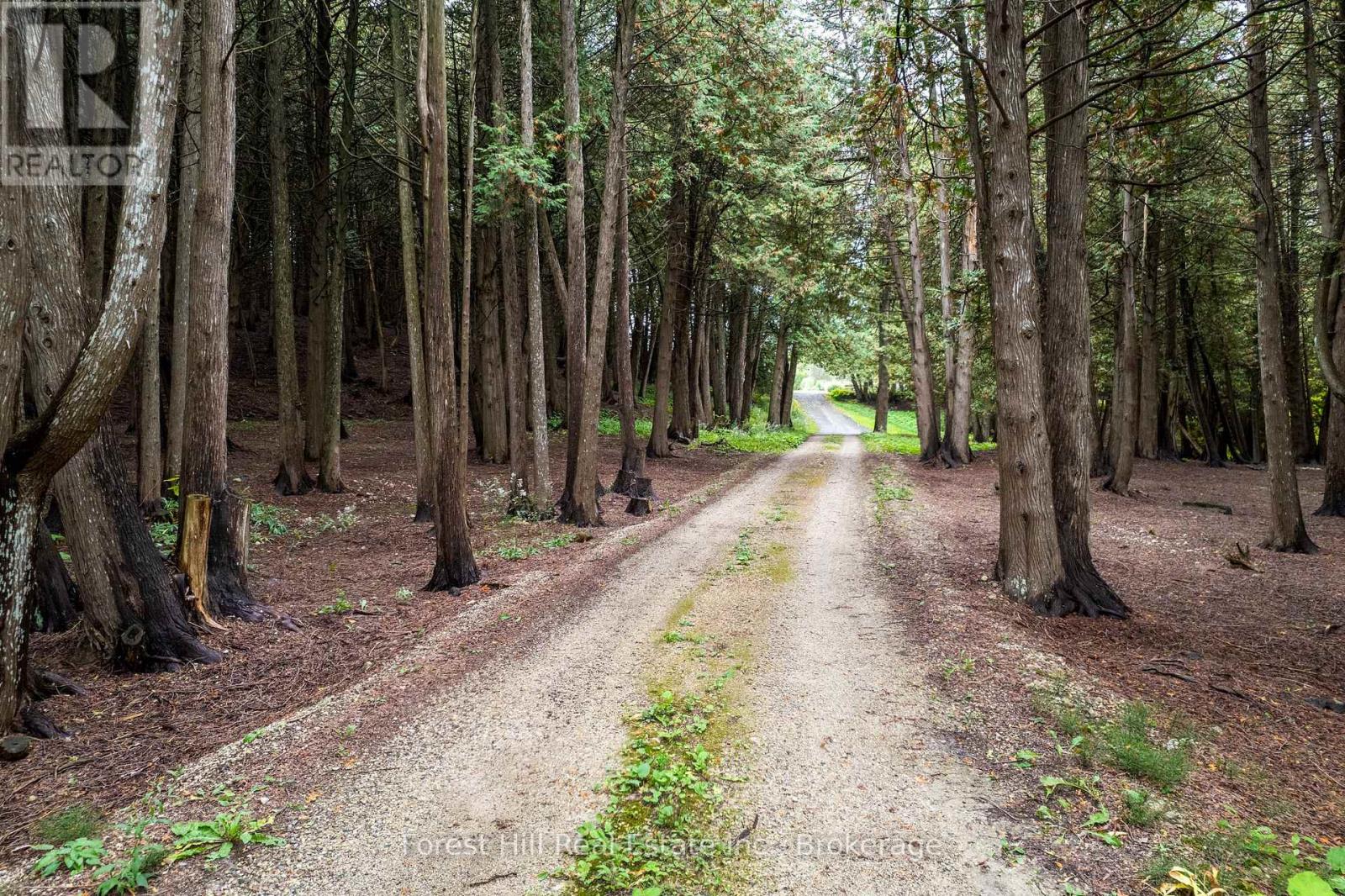 403288 GREY ROAD 4