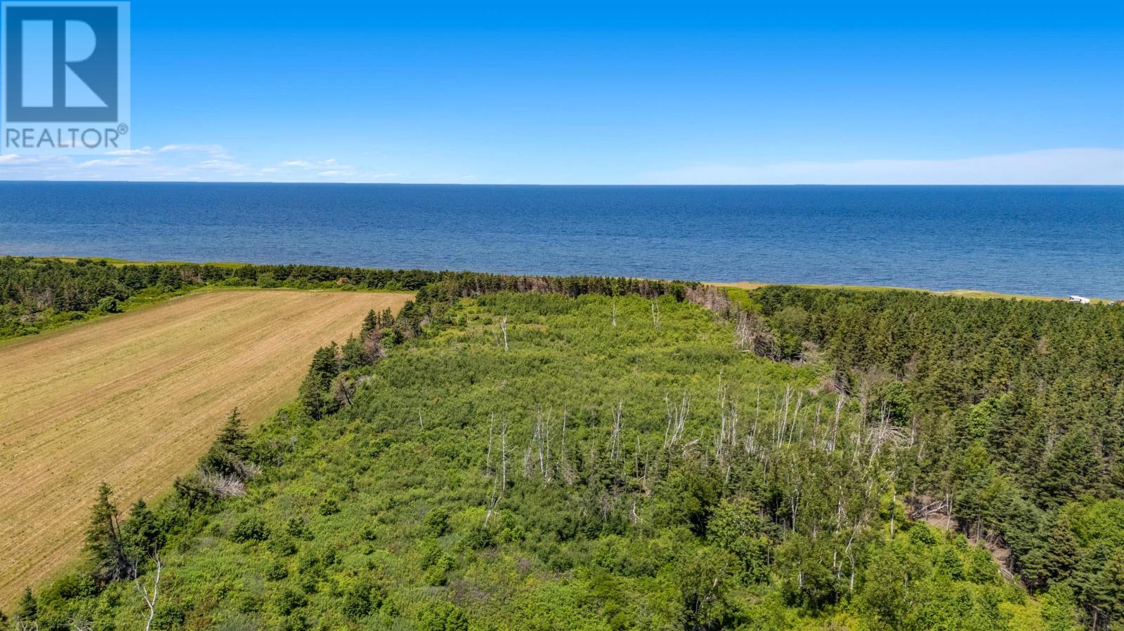 ACREAGE BEAR SHORE Road
