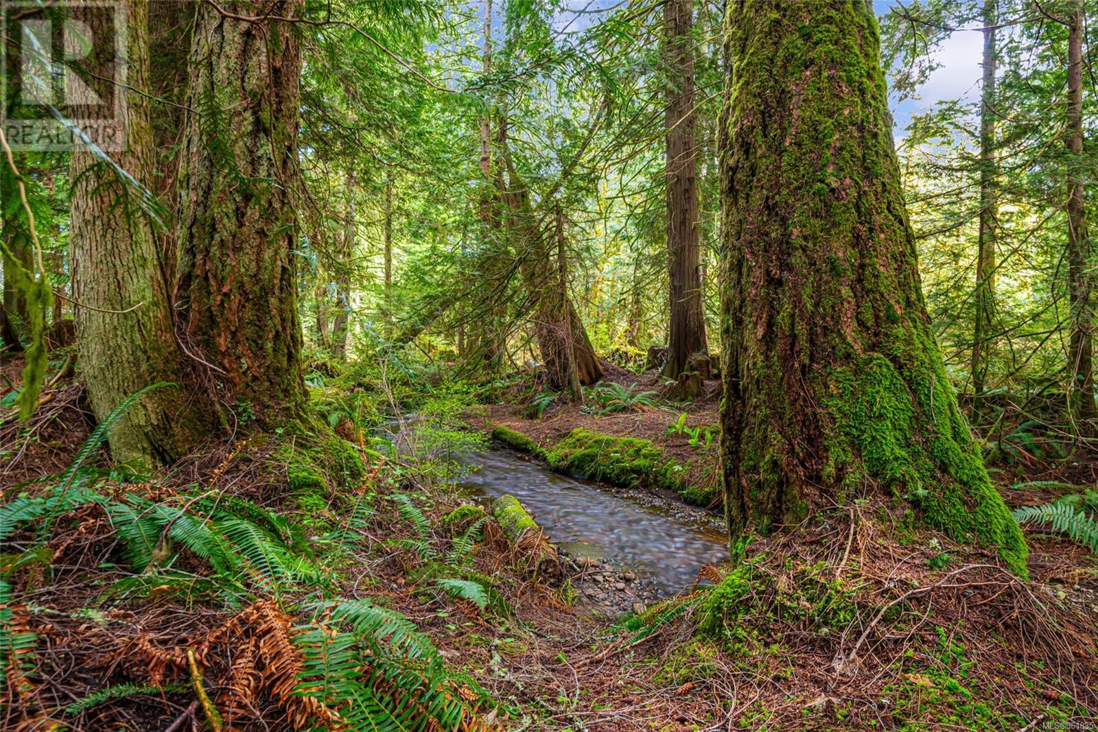 Lot 13 Island Hwy W